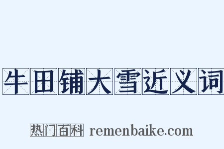 牛田铺大雪近义词是什么意思的图片